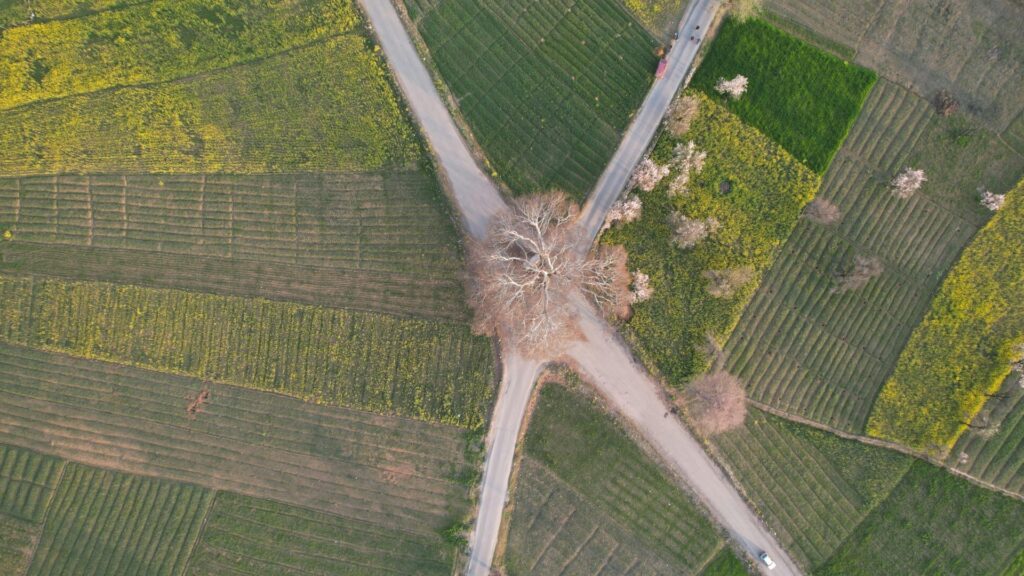 Symbolischer Weg für Rollenwechsel